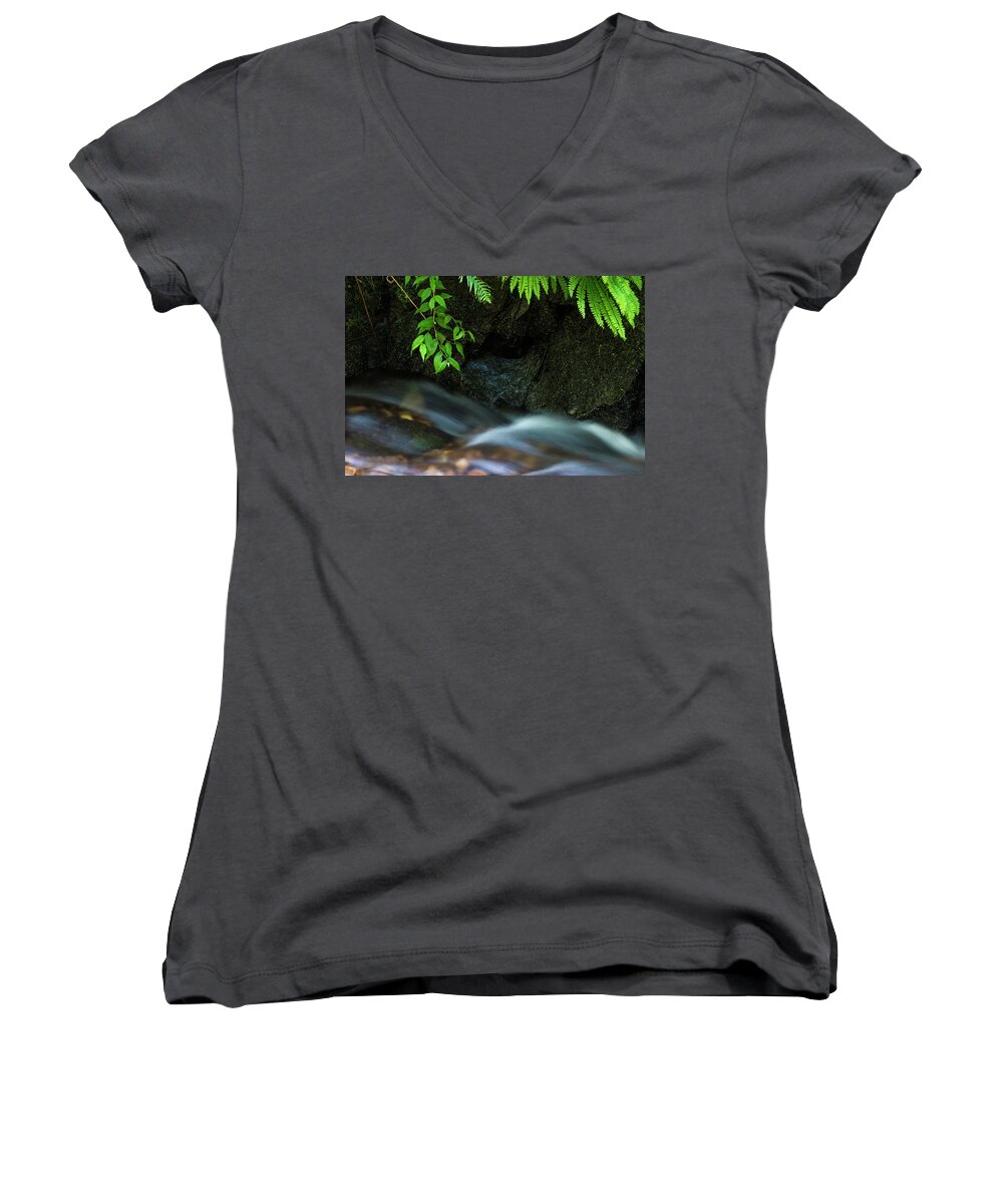 Cannon Beach Women's V-Neck featuring the photograph Rain Forest Stream by Robert Potts