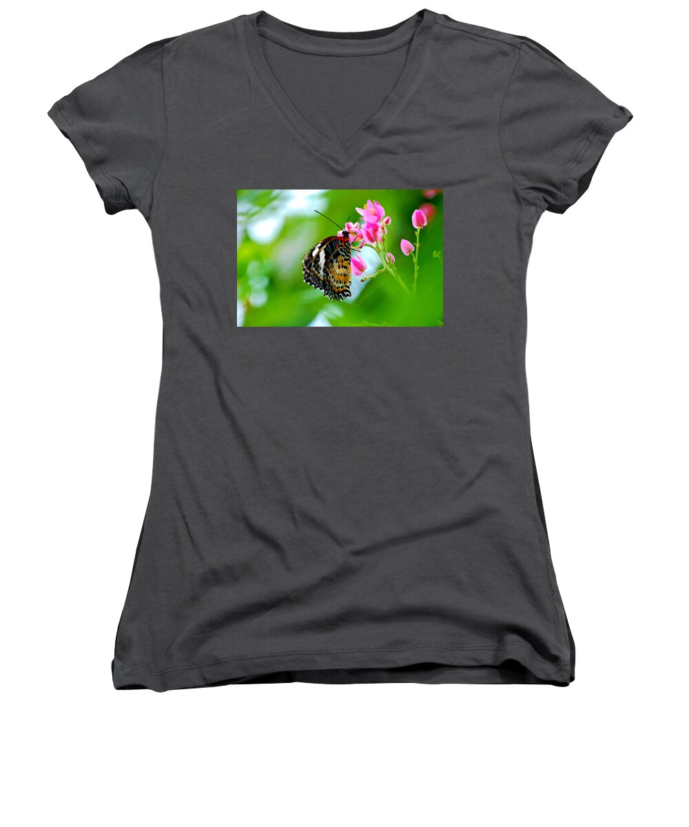 Butterfly Women's V-Neck featuring the photograph Rainbow Butterfly by Peggy Franz