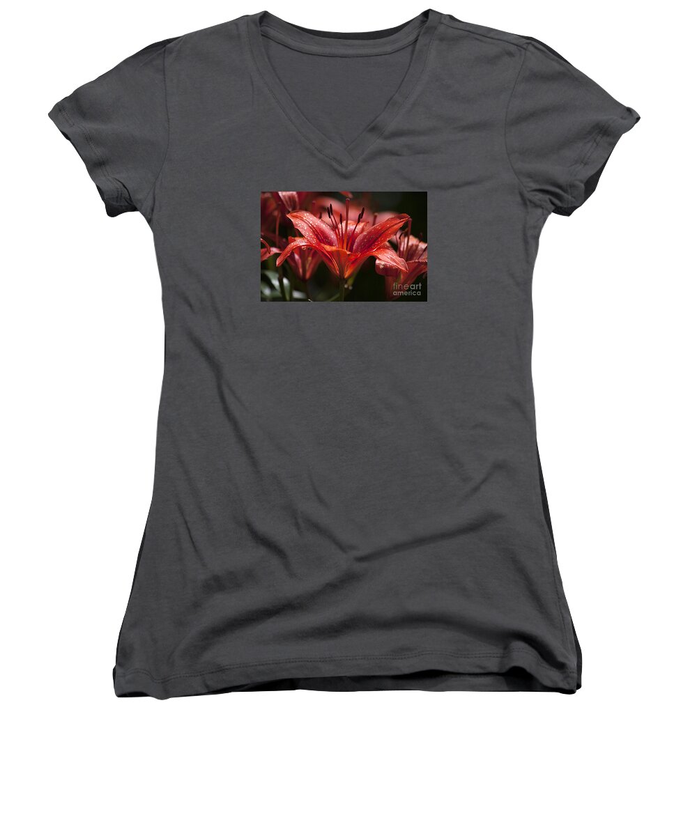 Red Women's V-Neck featuring the photograph Red Day Lily 20120615_52a by Tina Hopkins