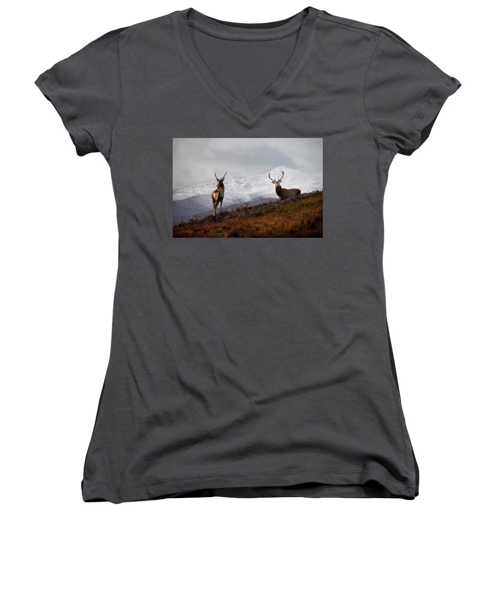 Red Deer Stags Women's V-Neck featuring the photograph Red Deer Stags by Gavin MacRae