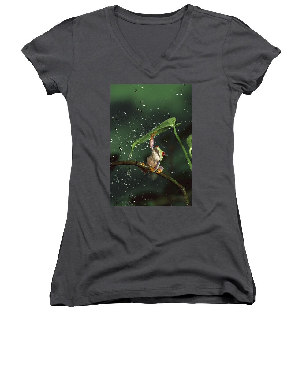Mp Women's V-Neck featuring the photograph Red-eyed Tree Frog In The Rain by Michael Durham