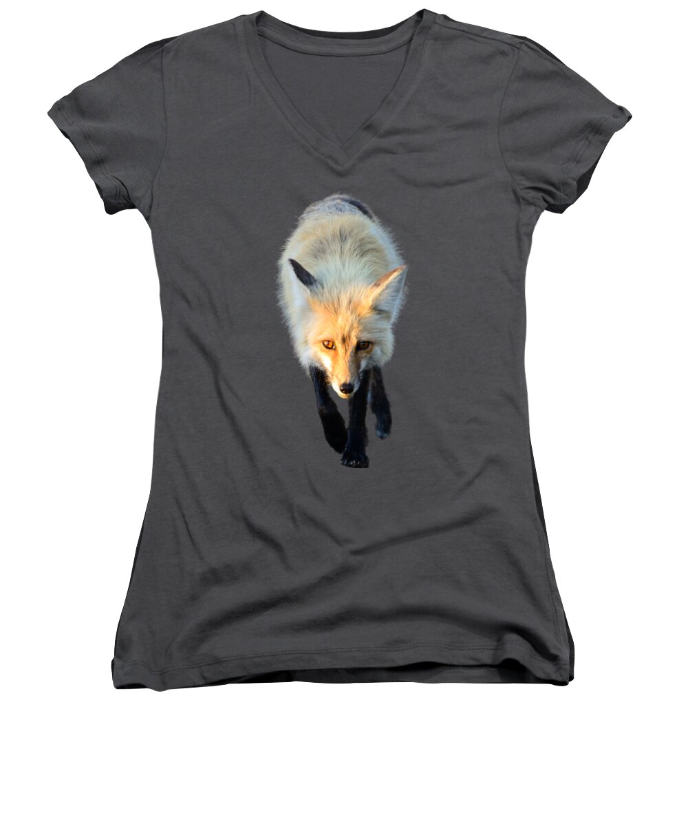 Red Fox Women's V-Neck featuring the photograph Red Fox Shirt by Greg Norrell