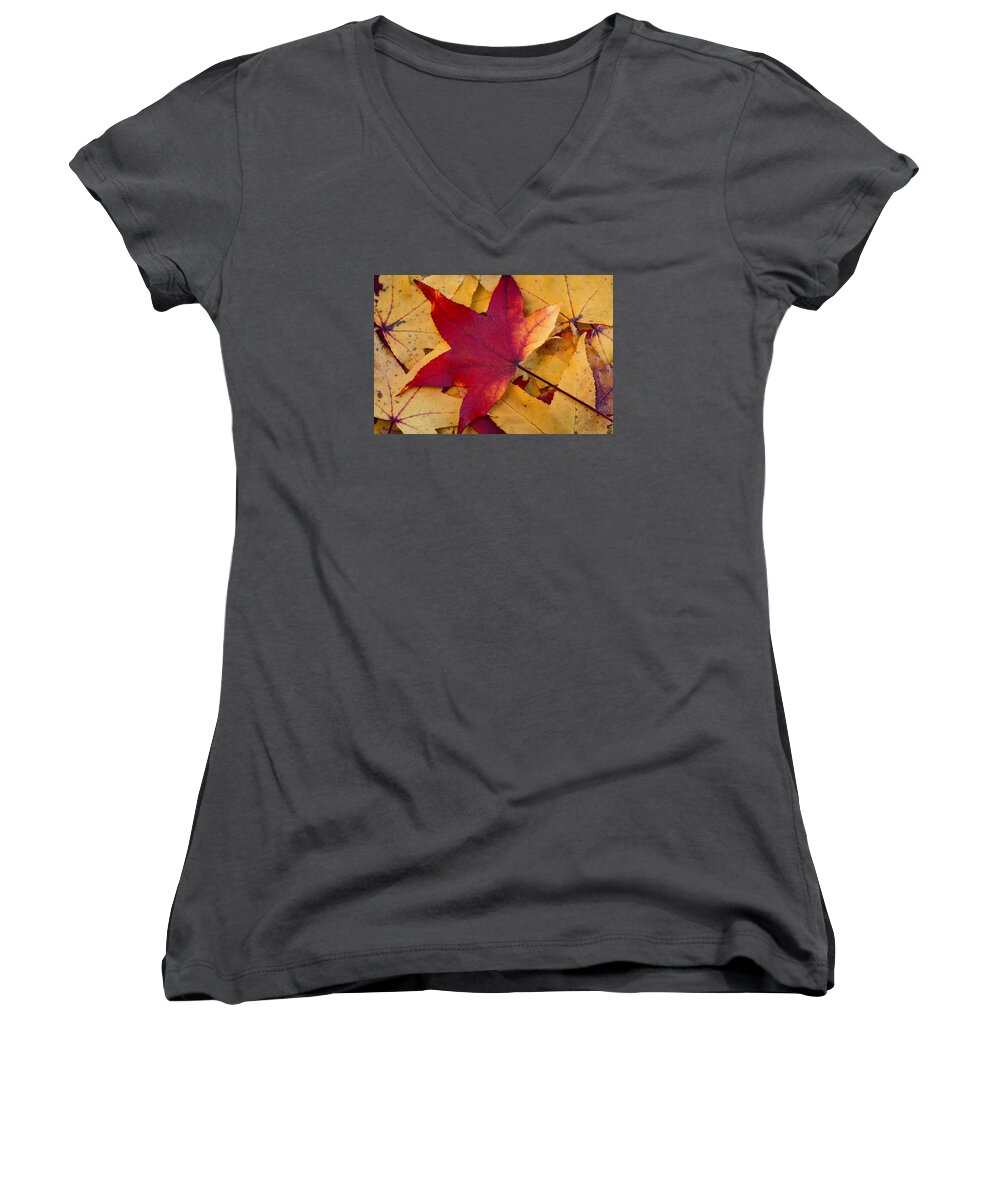 Leaf Women's V-Neck featuring the photograph Red Leaf by Chevy Fleet