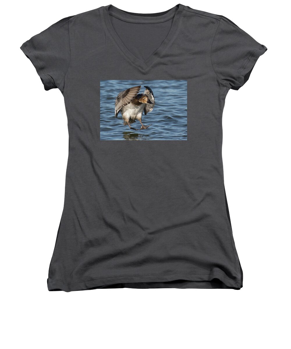 Duck Women's V-Neck featuring the photograph Red Light by Art Cole