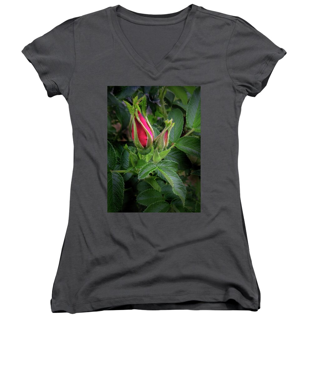 Rose Women's V-Neck featuring the photograph Red Rugosia Bud by Nancy Griswold