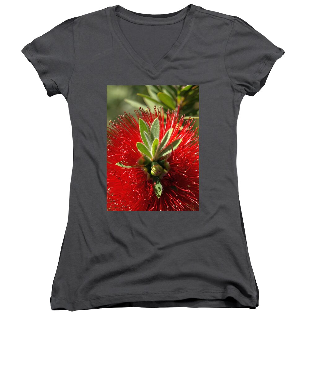 Red Women's V-Neck featuring the photograph Red Surprise by Steven Robiner