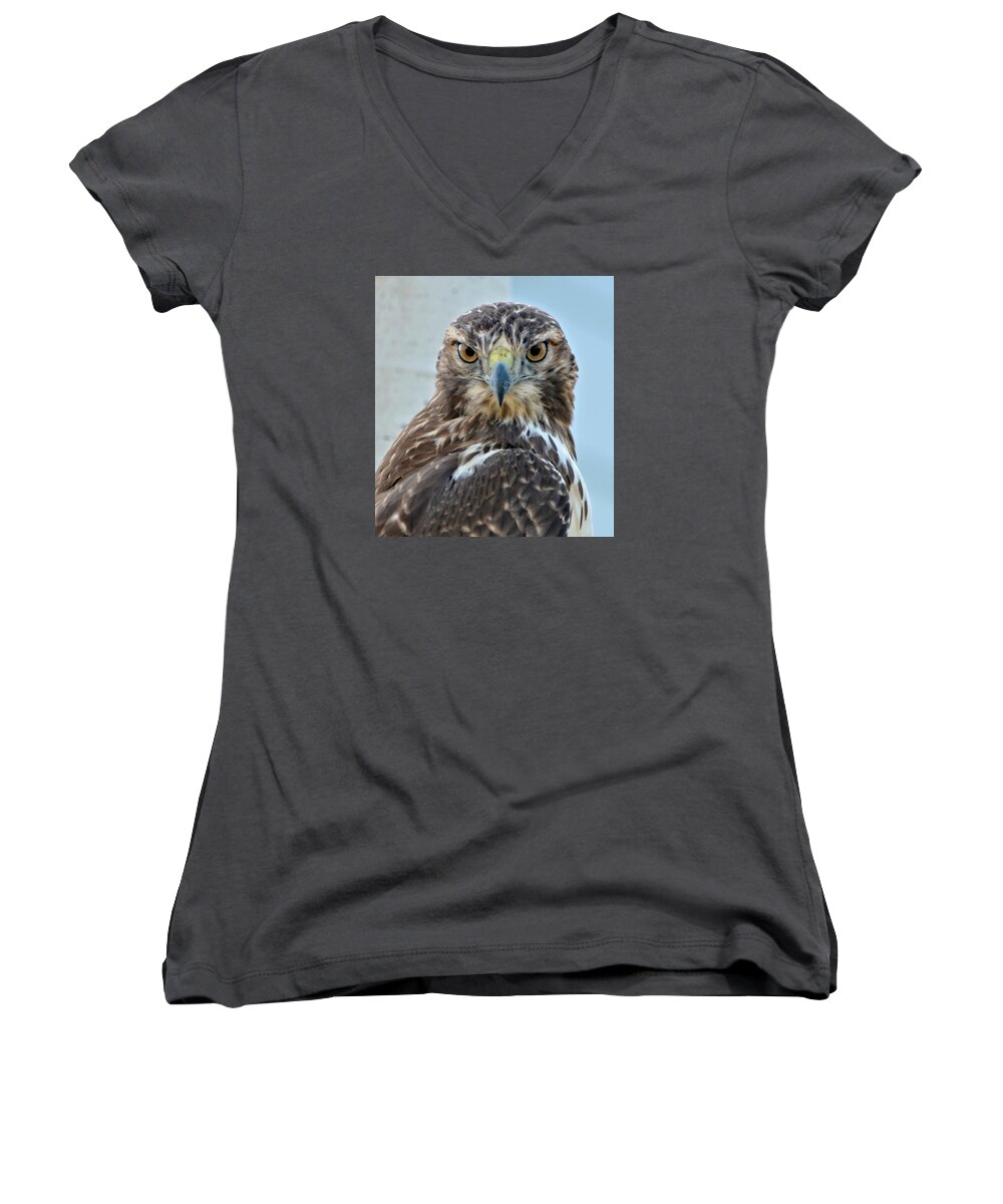 Hawk Women's V-Neck featuring the photograph Red Tailed Hawk Close Up by Amy McDaniel