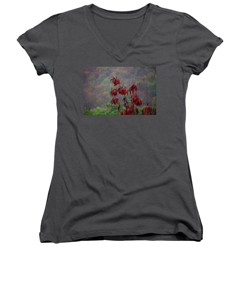 Alabama Photographer Women's V-Neck featuring the digital art Red Tree in the Rain by Michael Thomas