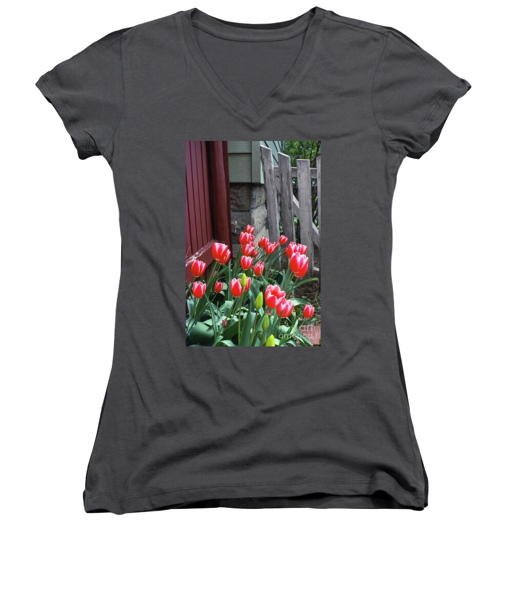 Tulips Women's V-Neck featuring the photograph Red Tulips in a Wisconsin Garden by Greg Kopriva