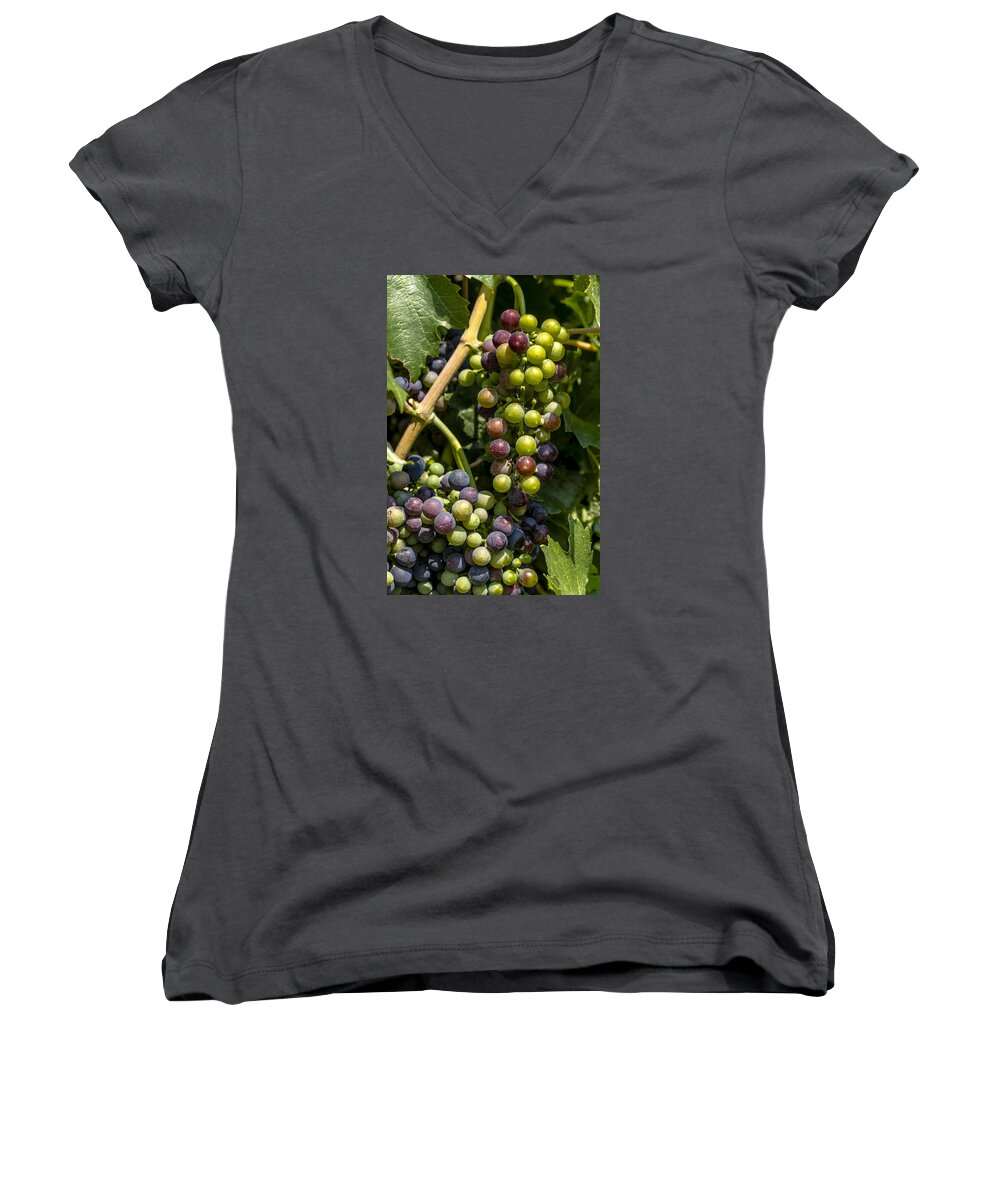 Colorado Vineyard Women's V-Neck featuring the photograph Red Wine Grape Colors in the Sun by Teri Virbickis