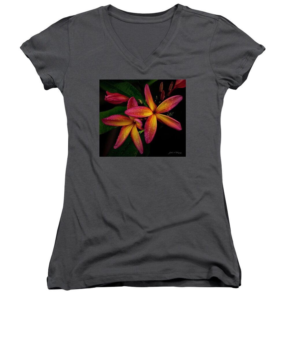 Plumeria Women's V-Neck featuring the photograph Red/Yellow Plumeria in Bloom by John A Rodriguez