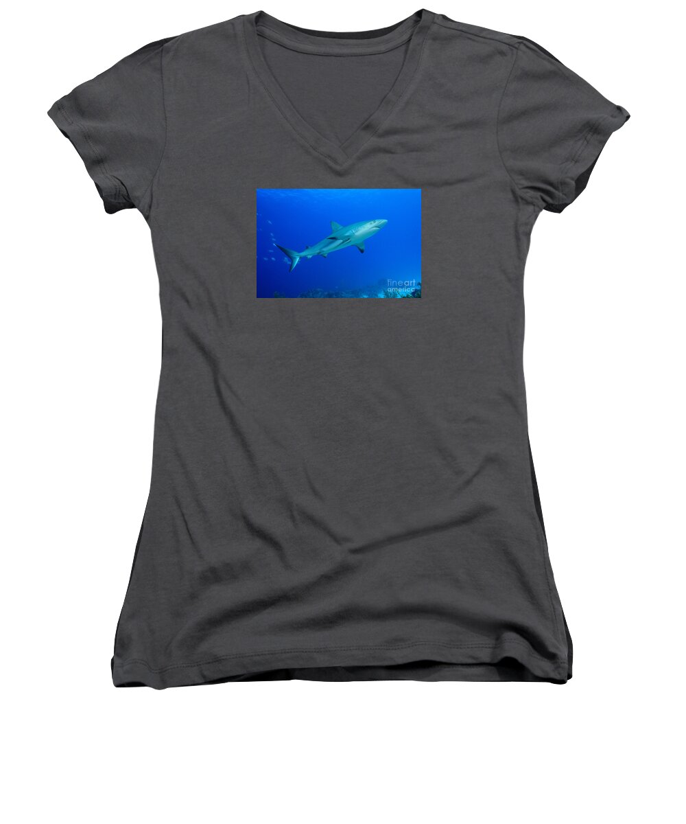 Caribbean Reef Shark. Carcharhinus Perezi Women's V-Neck featuring the photograph Out Of The Blue by Aaron Whittemore