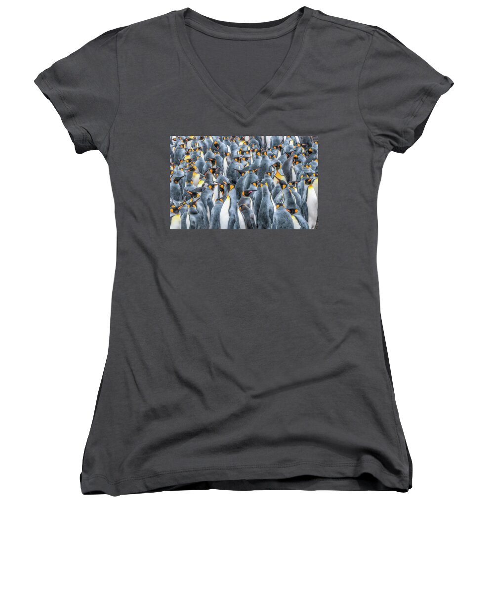 Birds Women's V-Neck featuring the photograph Republicans discussing climate change. by Usha Peddamatham