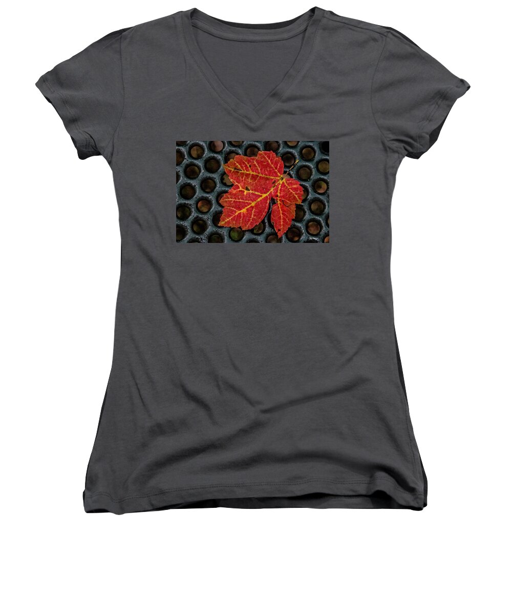 Leaf Women's V-Neck featuring the photograph Resting From the Fall by Skip Tribby