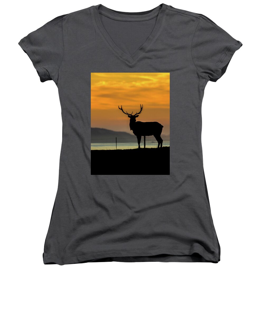 Bobcat Women's V-Neck featuring the photograph Reyes Morning by Kevin Dietrich