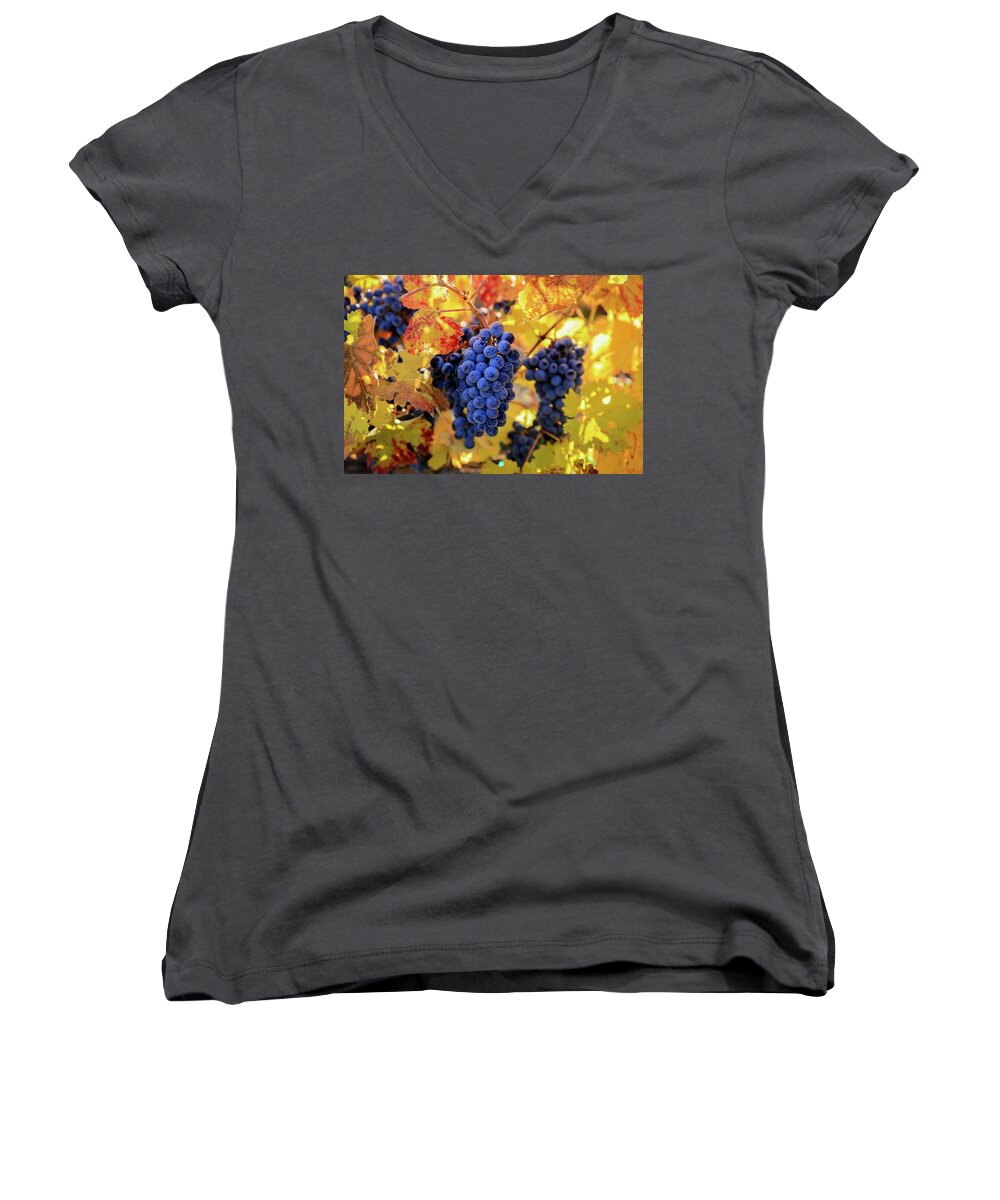 Rich Fall Colors With Grapes Women's V-Neck featuring the photograph Rich fall colors with grapes by Lynn Hopwood