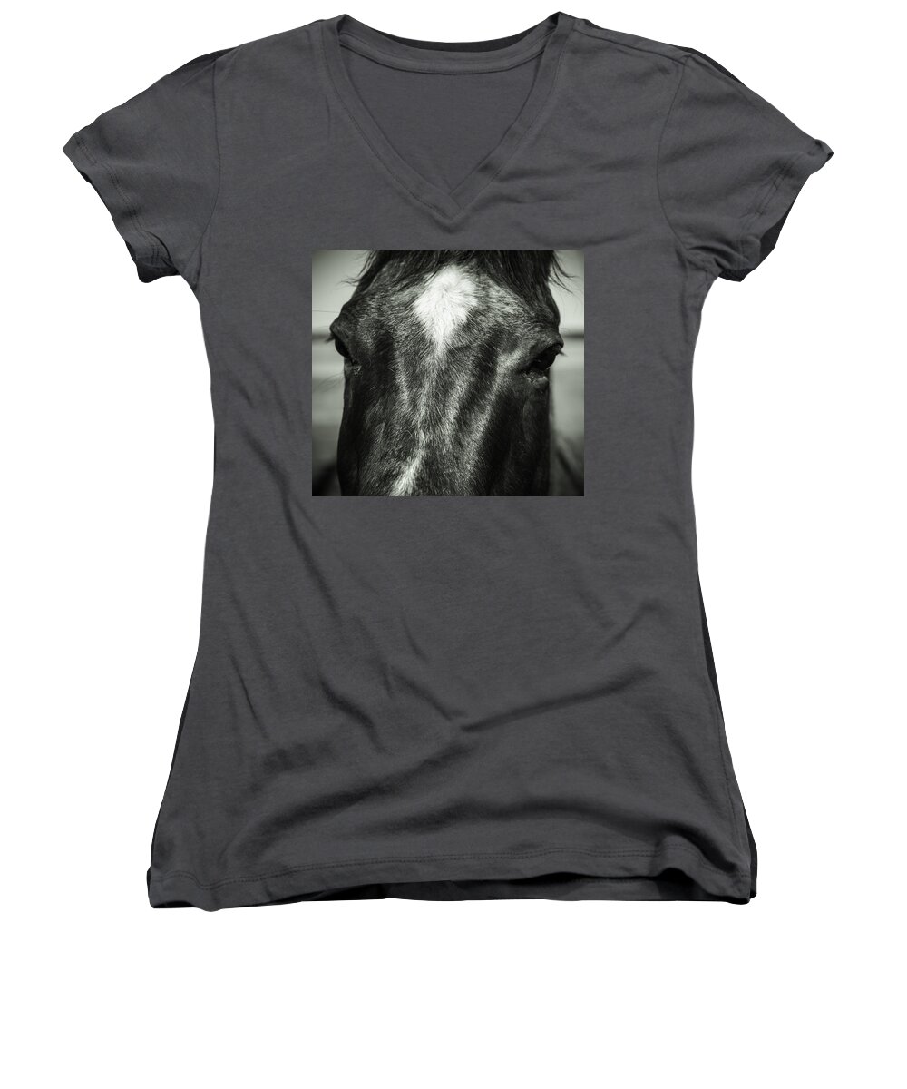 Horse Women's V-Neck featuring the photograph Right Between the Eyes by Jason Moynihan