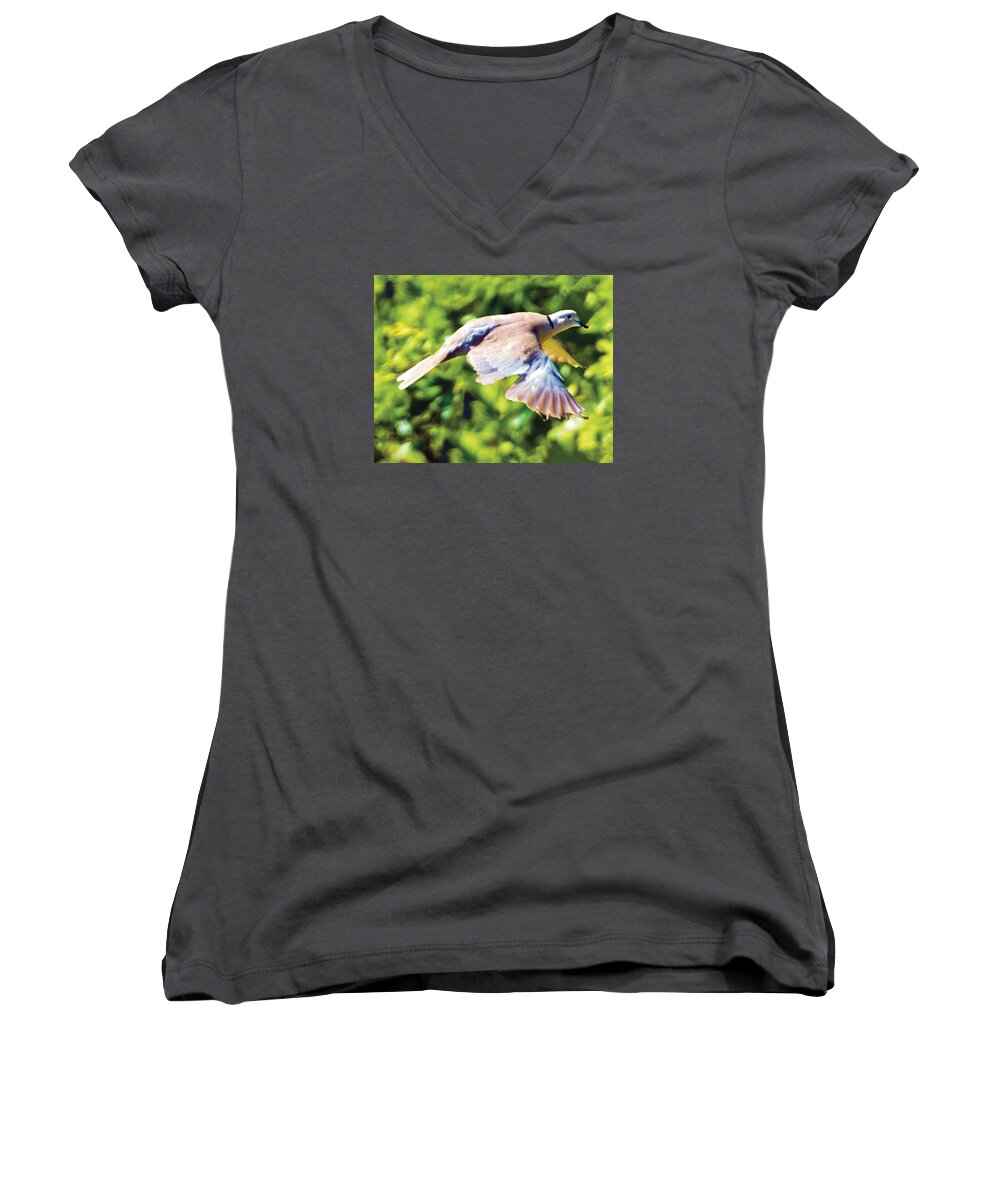 Bird Women's V-Neck featuring the photograph Ringed Neck Dove In Flight by William Bitman