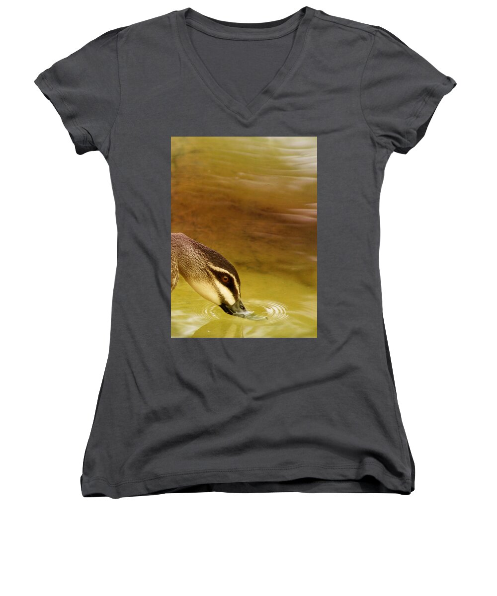 Animals Women's V-Neck featuring the photograph Ripples by Holly Kempe