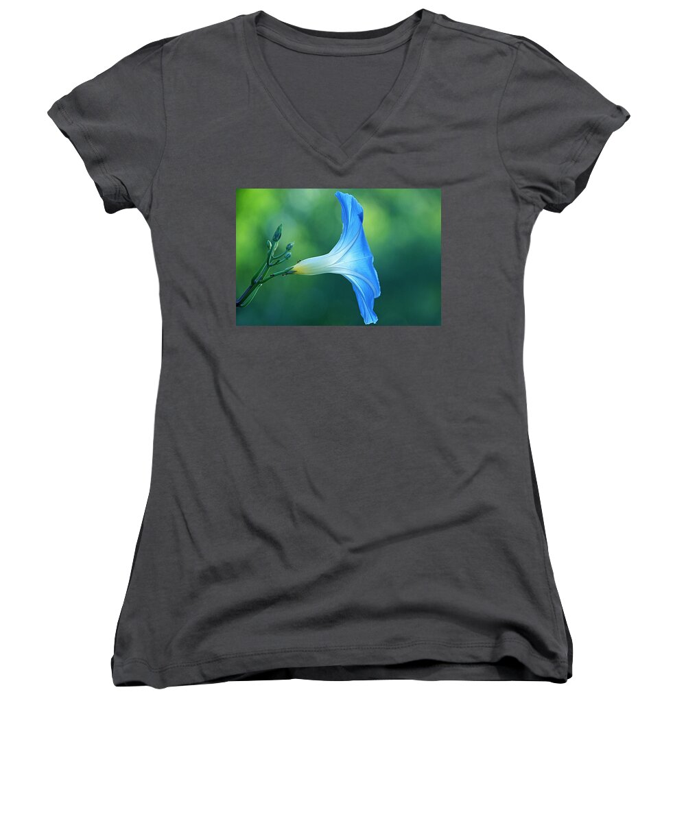 \morning Glory\ Flower Women's V-Neck featuring the photograph Rise and Shine by Byron Varvarigos