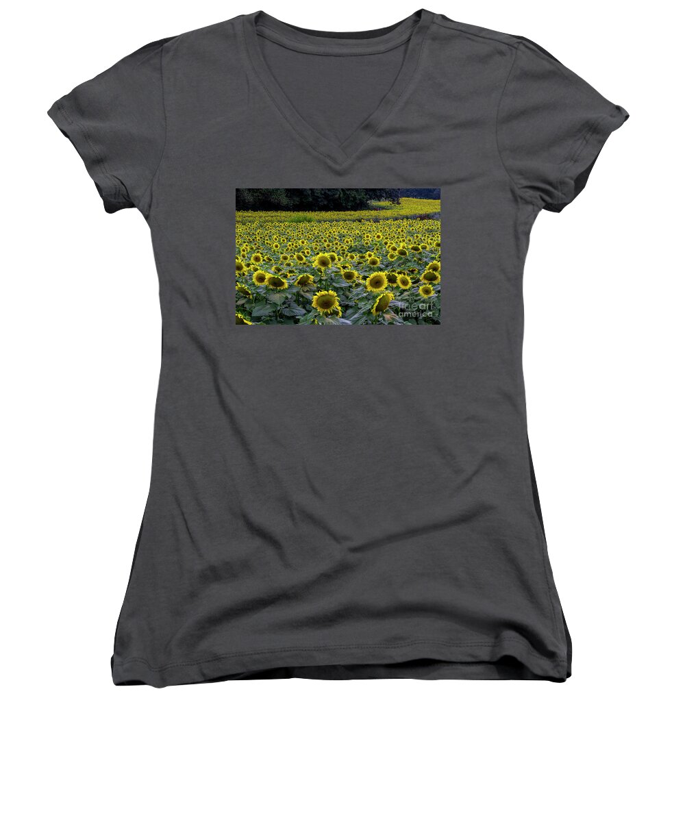 Sunflowers Women's V-Neck featuring the photograph River of Sunflowers by Barbara Bowen