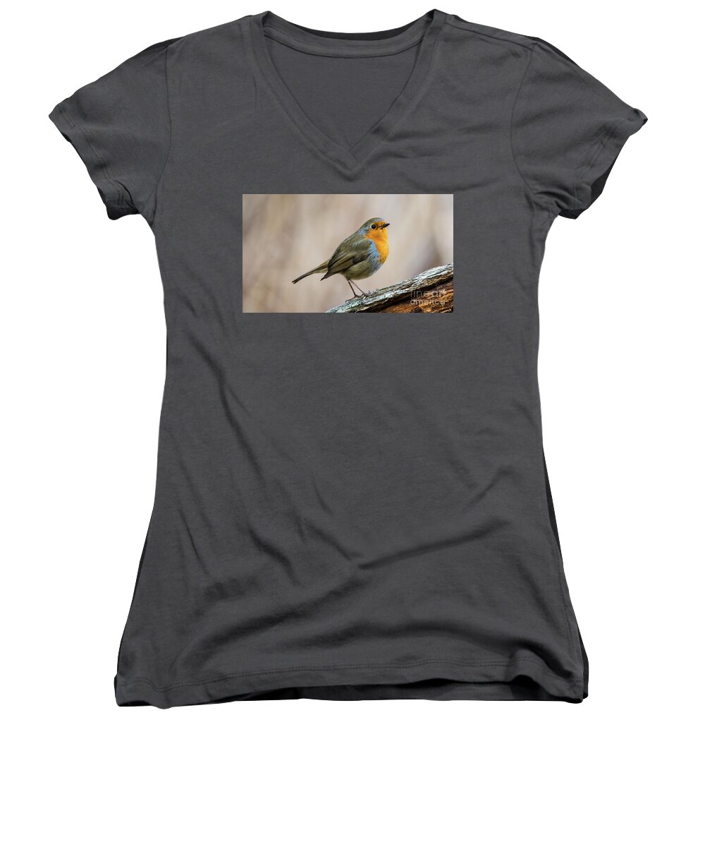 Robin In Spring Women's V-Neck featuring the photograph Robin in spring by Torbjorn Swenelius