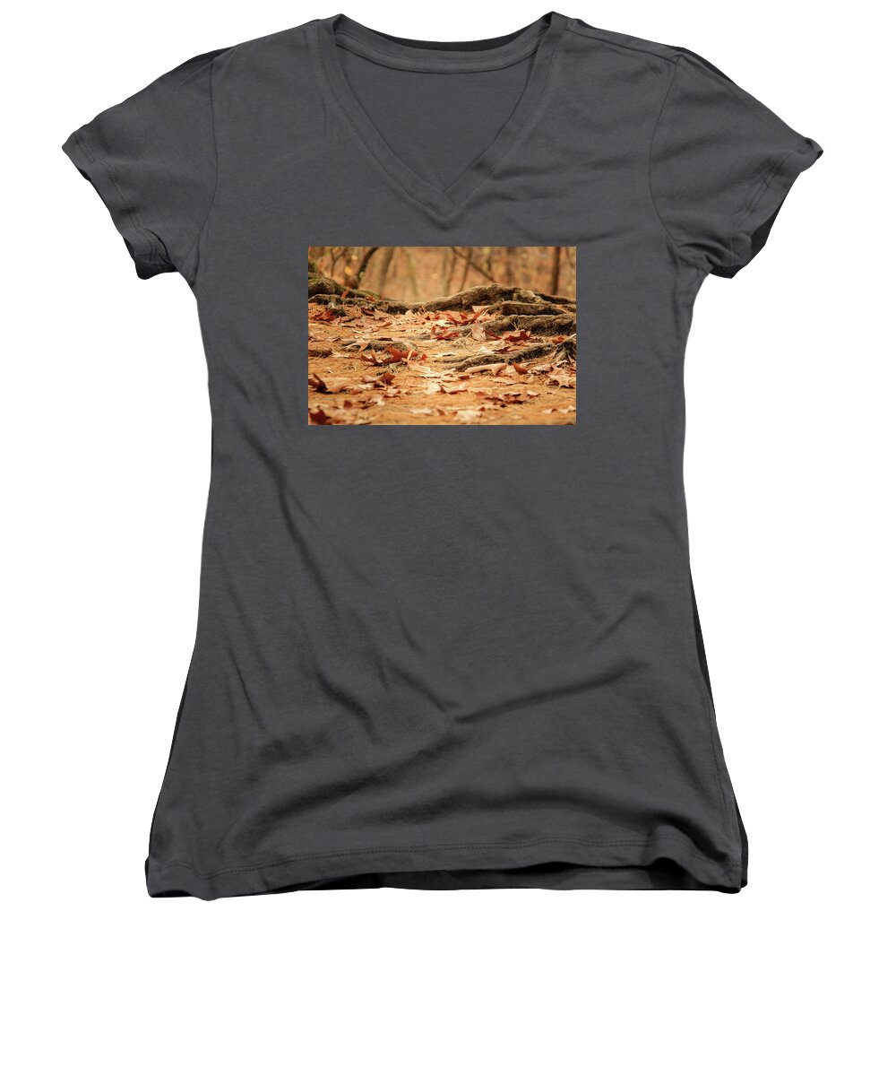 Illinois Women's V-Neck featuring the photograph Roots Along the Path by Joni Eskridge
