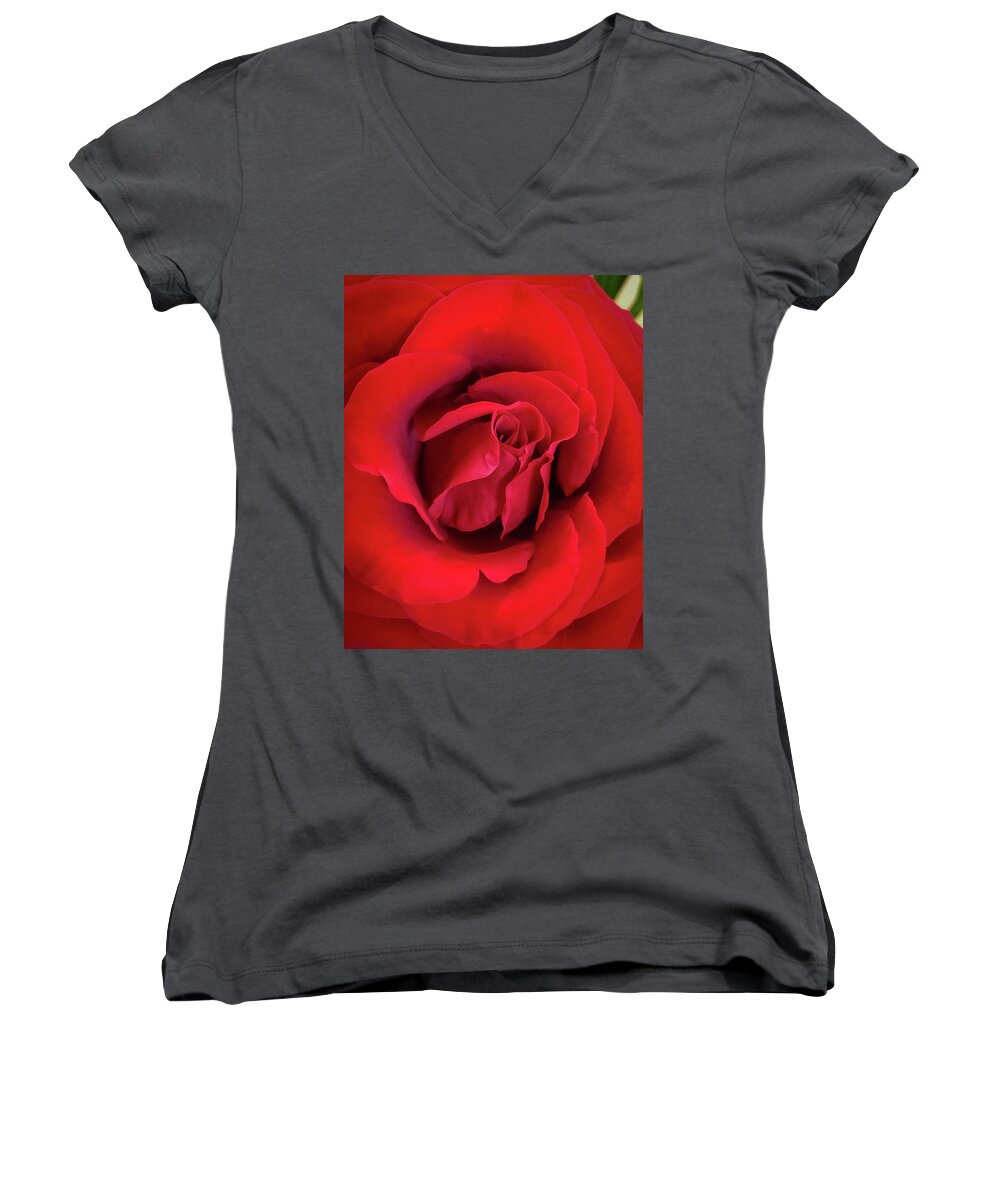 Art Women's V-Neck featuring the photograph Rose Red 4 by Ronda Broatch