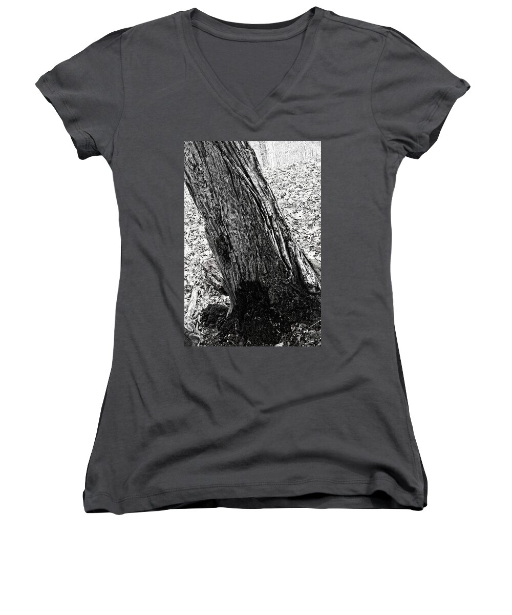 Texture Women's V-Neck featuring the photograph Rotten to the Core by George Taylor