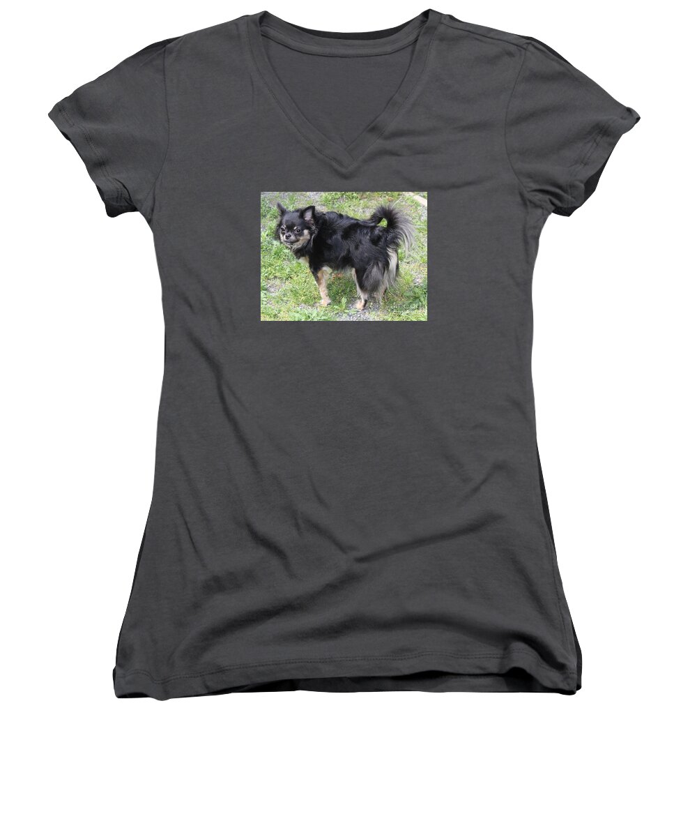 Chihuahua Women's V-Neck featuring the photograph Sammie Jo 2 by Sheri Simmons