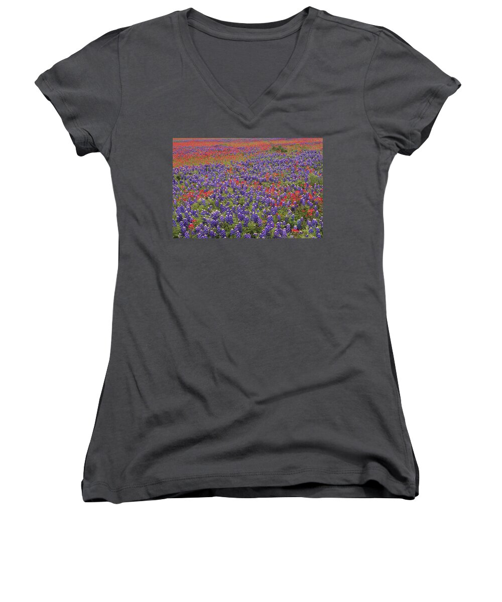 00170984 Women's V-Neck featuring the photograph Sand Bluebonnet And Paintbrush by Tim Fitzharris