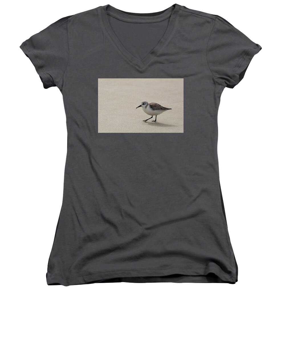 Sandpiper Women's V-Neck featuring the photograph Sandpiper at the Beach by Jean Clark