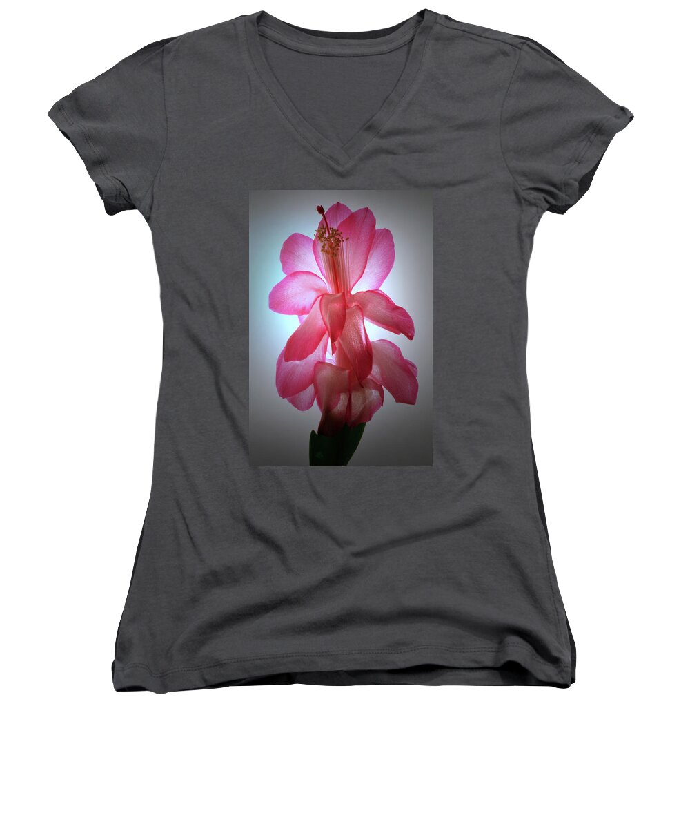 Christmas Cactus Women's V-Neck featuring the photograph Schlumbergera Portrait. by Terence Davis