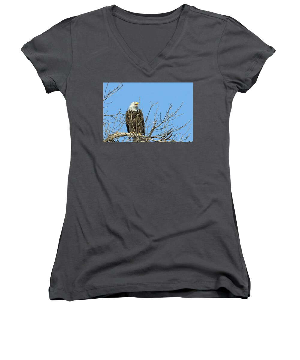 Eagle Women's V-Neck featuring the photograph Screeching Eagle by Brook Burling