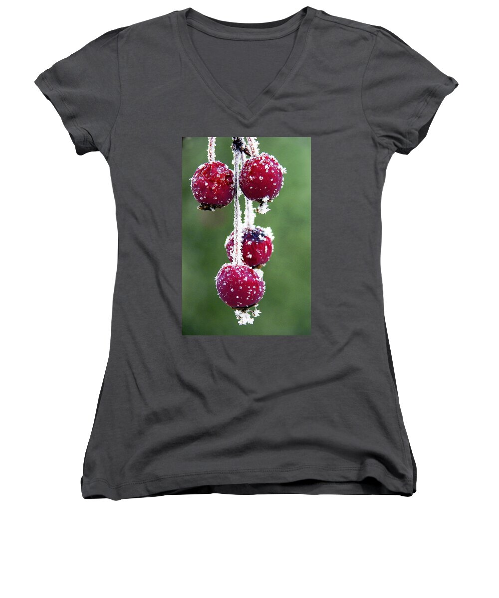 Berries Women's V-Neck featuring the photograph Seasonal colors by Marilyn Hunt