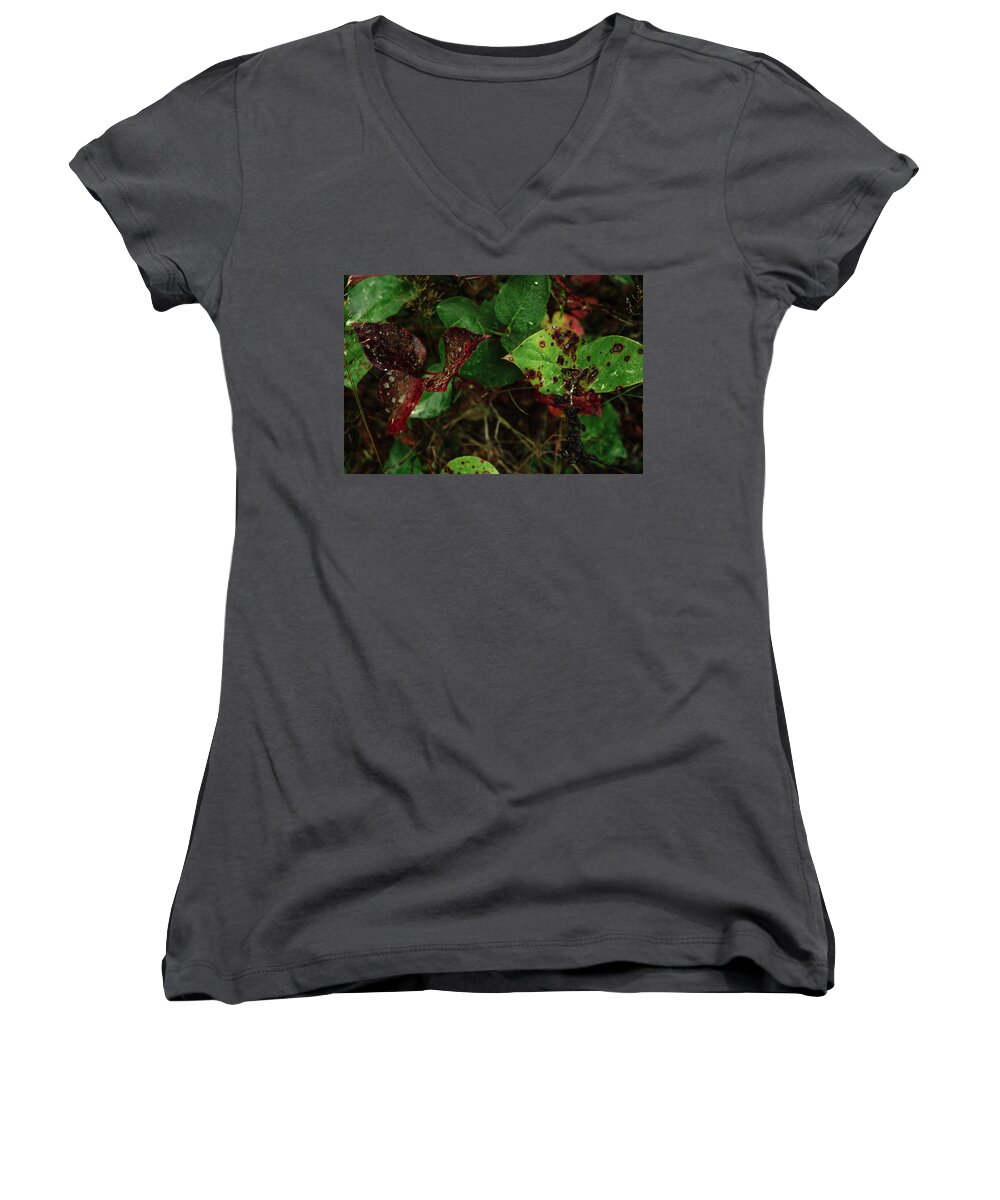 Leaves Women's V-Neck featuring the photograph Season Color by Gene Garnace