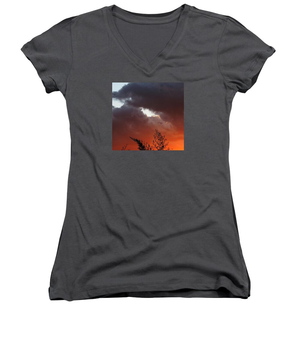 Tree Women's V-Neck featuring the photograph Sever by Chris Dunn