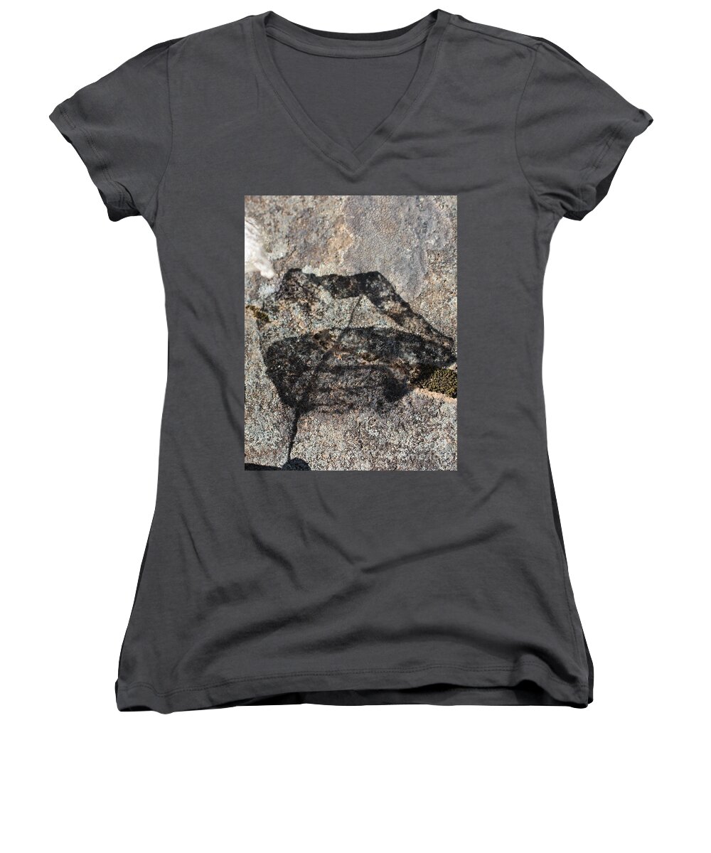 Leaf Women's V-Neck featuring the photograph Shadow of a Skeletal Leaf by Marie Neder