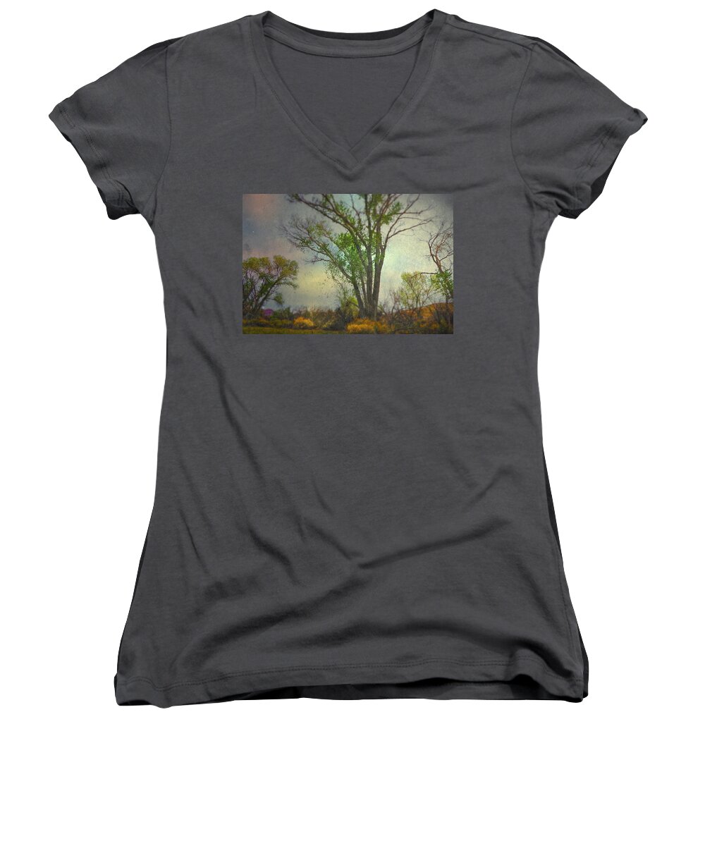 Spring Women's V-Neck featuring the photograph Signs by Mark Ross