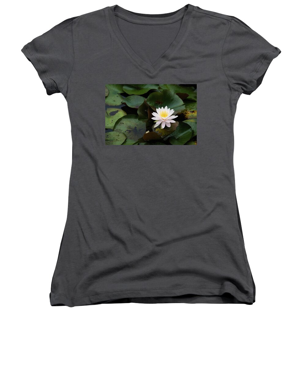 Bloom Women's V-Neck featuring the photograph Single White Pristine Lotus Lily by Dennis Dame