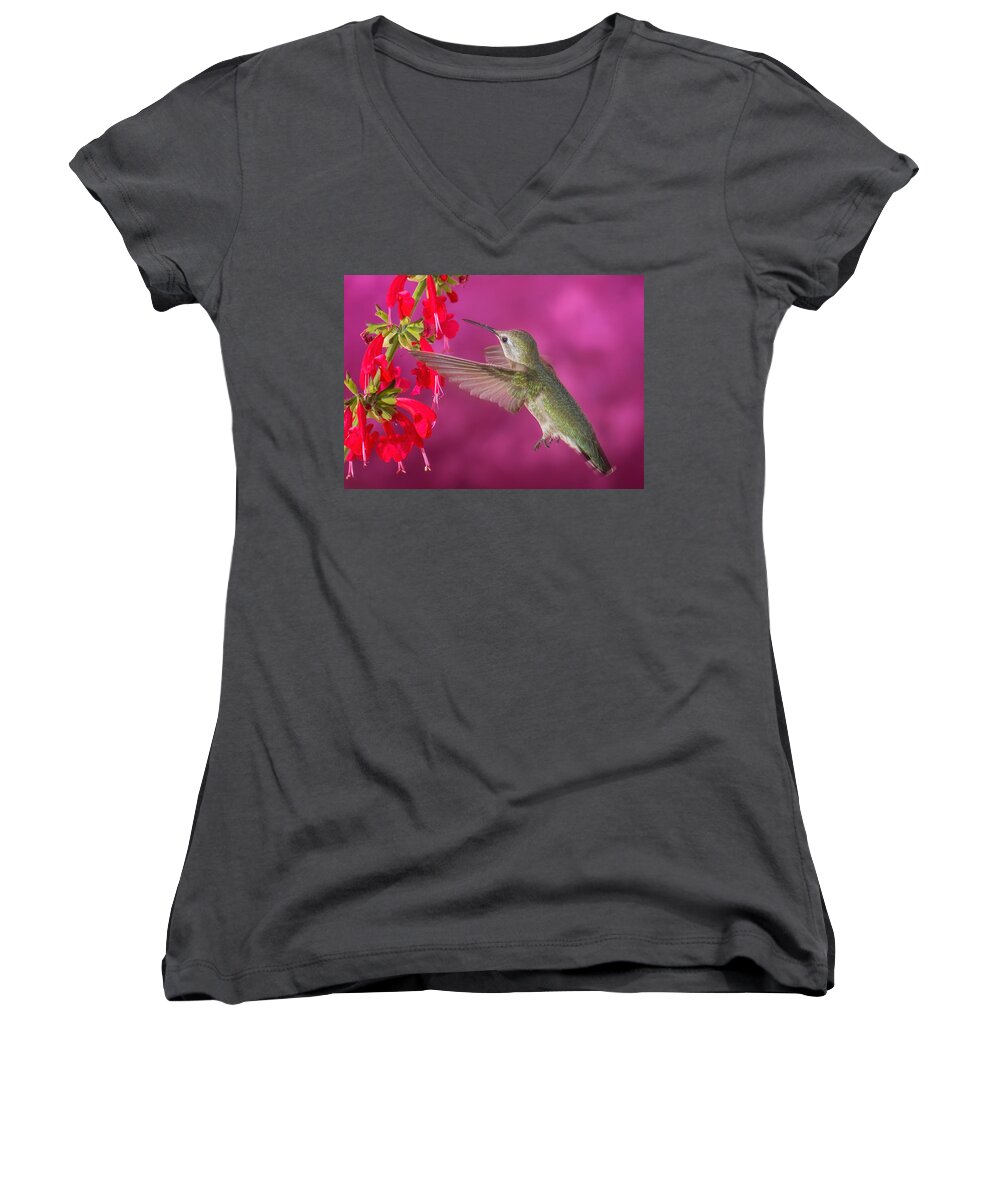 Arizona Women's V-Neck featuring the photograph Sipping at the Salvia by James Capo