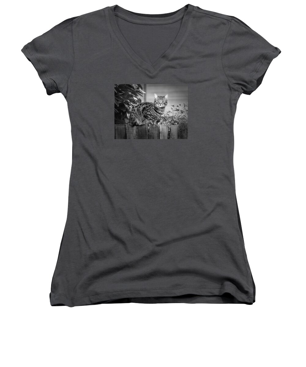 Cat Women's V-Neck featuring the photograph Sitting on the Fence by Nick Bywater