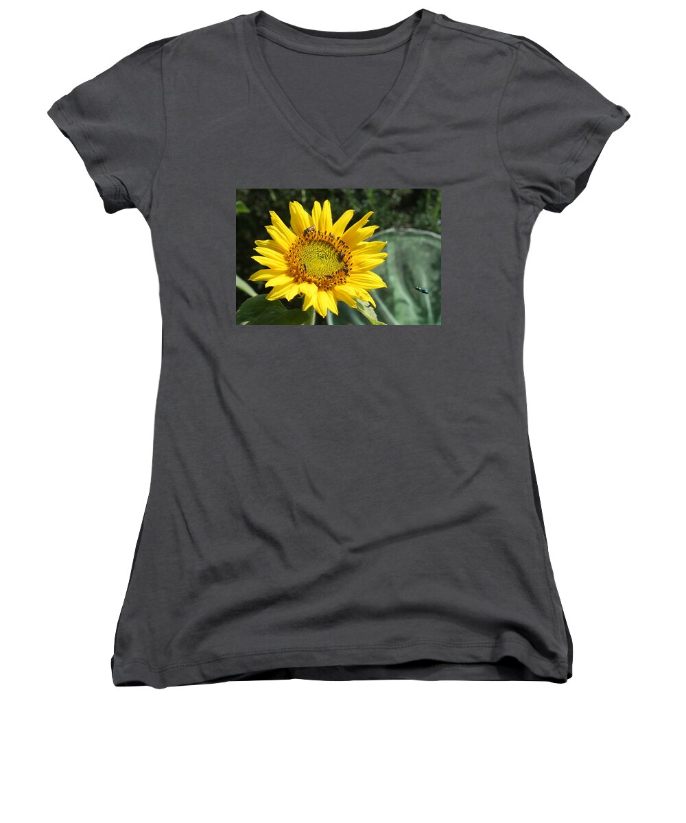 Sunflower Women's V-Neck featuring the photograph Skipping Spring by Ismael Cavazos
