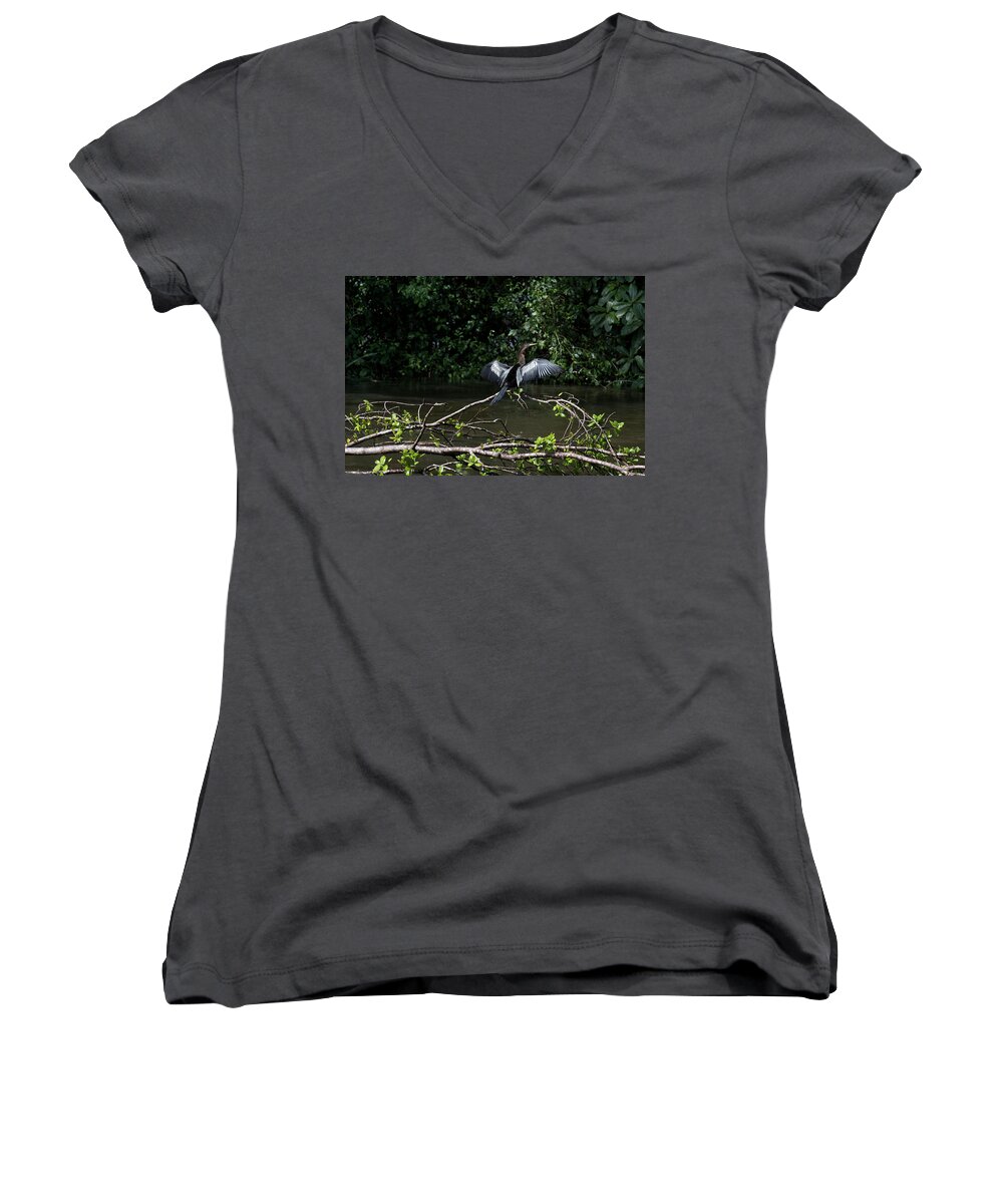 James David Phenicie Women's V-Neck featuring the photograph Snake Bird Perching by James David Phenicie