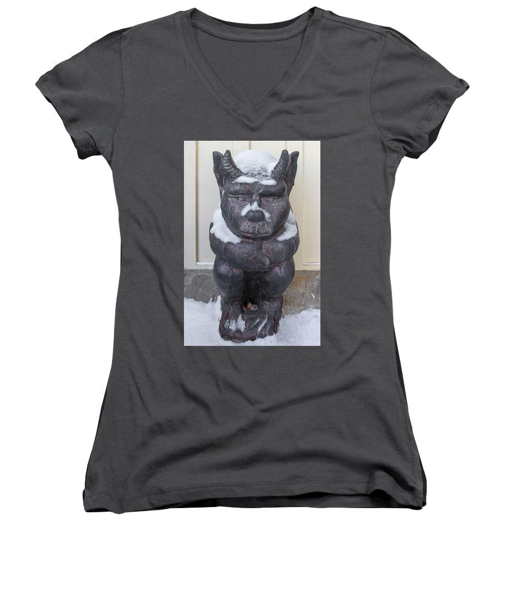 Chimera Women's V-Neck featuring the photograph Snow Covered Chimera by D K Wall