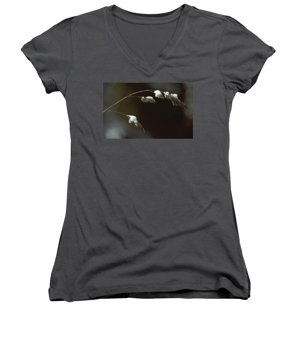  Women's V-Neck featuring the photograph Snow Grass by Laurie Stewart