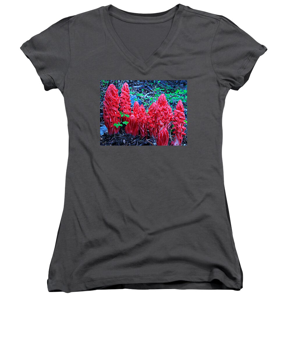 Lake Tahoe Women's V-Neck featuring the photograph Snowflower Pow Wow by Sean Sarsfield