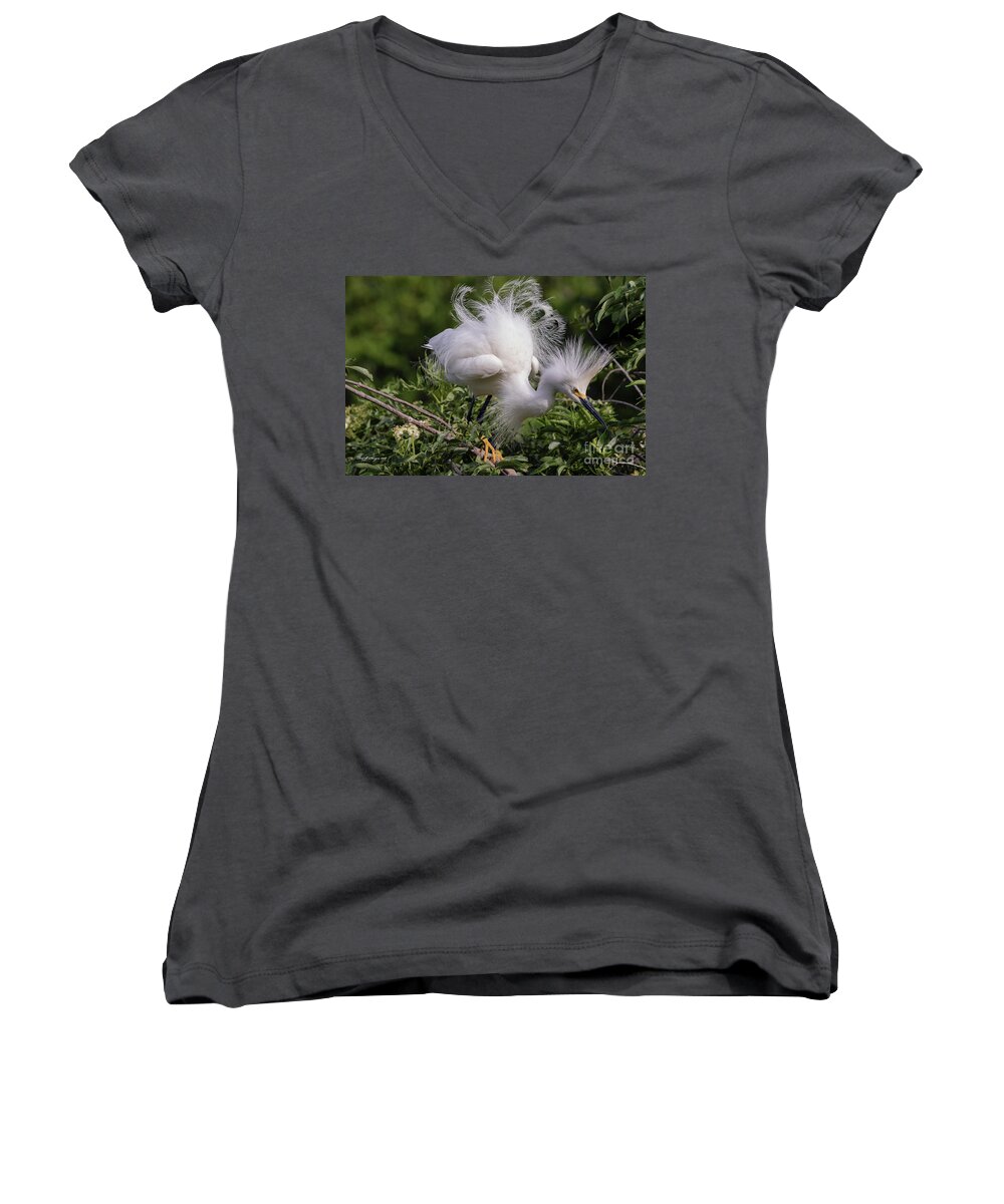 Egrets Women's V-Neck featuring the photograph Snowy Decsending by DB Hayes