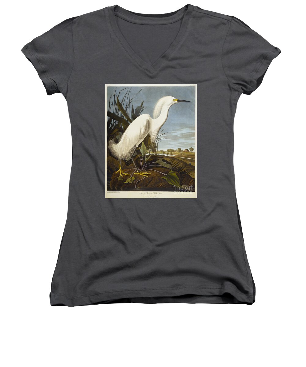 Snowy Heron Or White Egret Women's V-Neck featuring the drawing Snowy Heron by John James Audubon