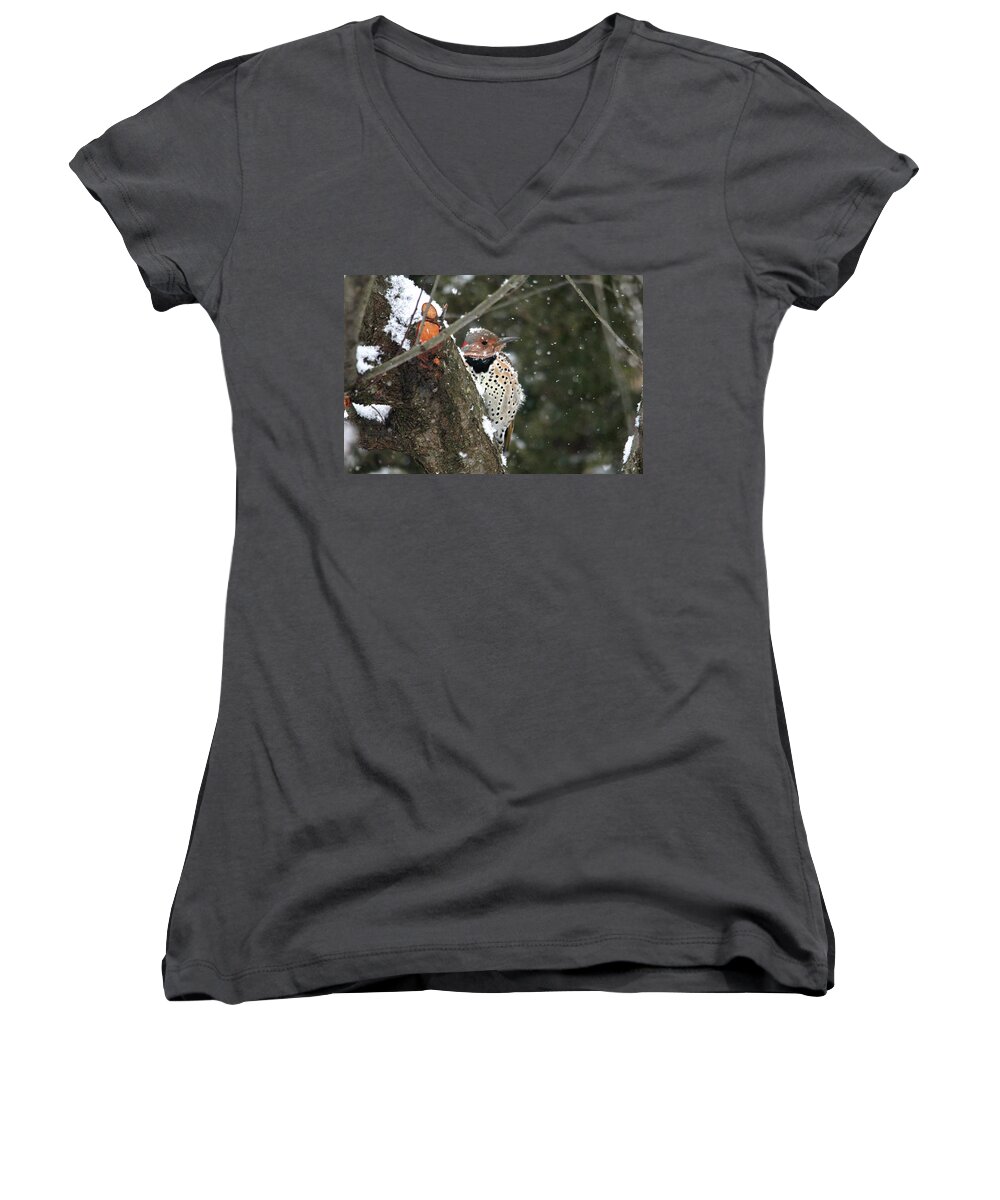 Birds Women's V-Neck featuring the photograph Snowy Northern Flicker by Trina Ansel